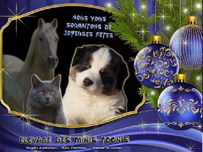 des minis toon's - Joyeuses fêtes à tous ! 