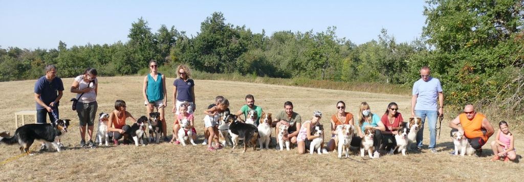 des minis toon's - Journée chiots