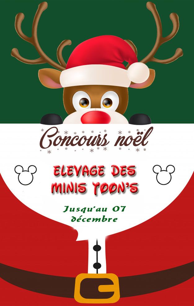 des minis toon's - Concours de Noël ... 