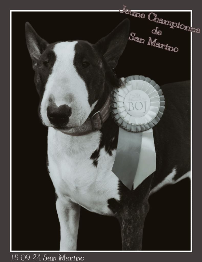 Dogshow San Marino 