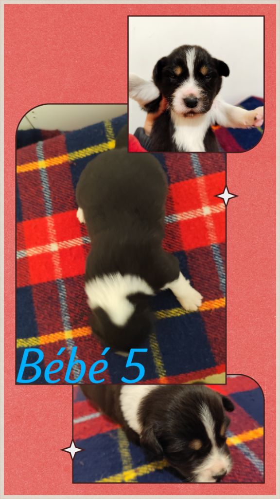 Bébé 5