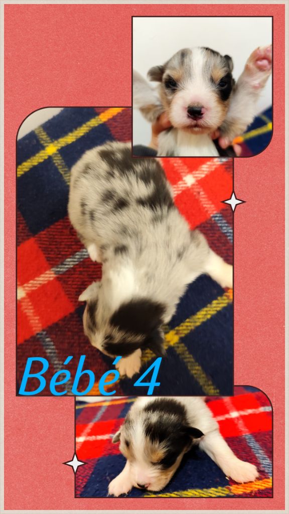 Bébé 4