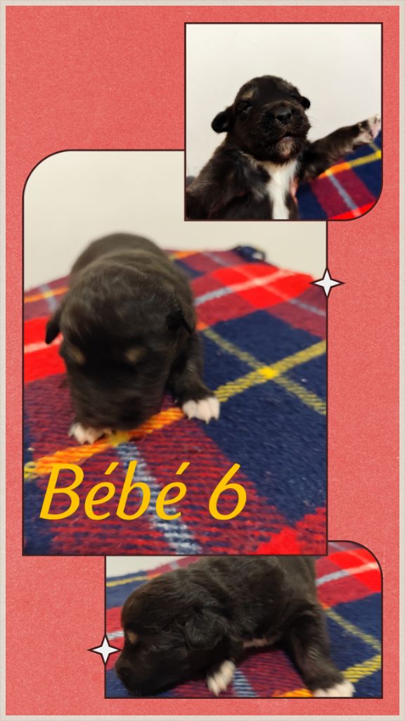 Bébé 6