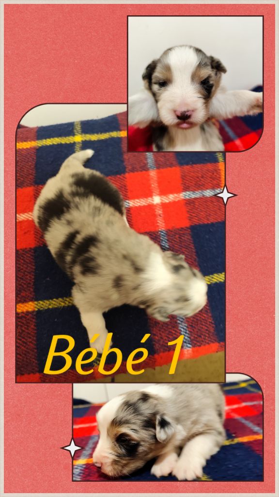 Bébé 1