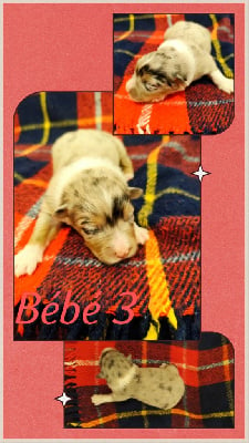 Bébé 3