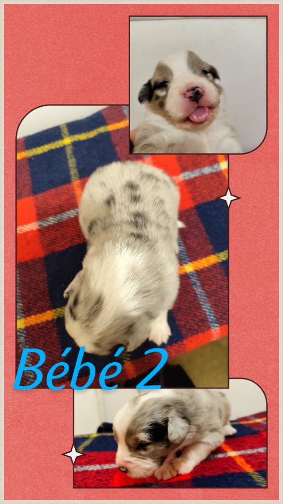 Bébé 2