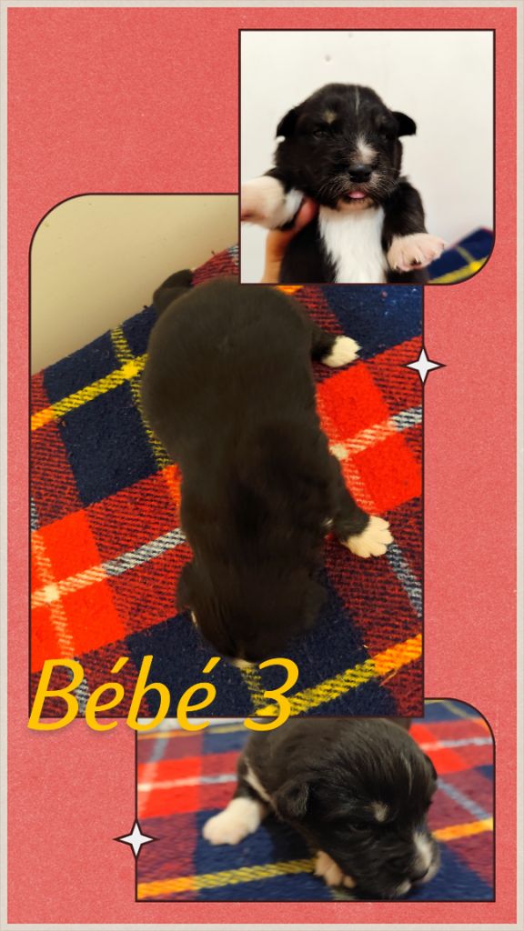 Bébé 3