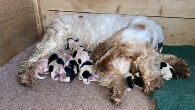 Les bébés sont arrivés