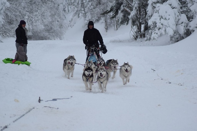 Of cold winter nights - Week end des 7 et 8 février au Col des Pradeaux