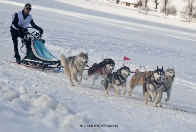 Of cold winter nights - Résultats course Méaudre des 19 et  20/01/13