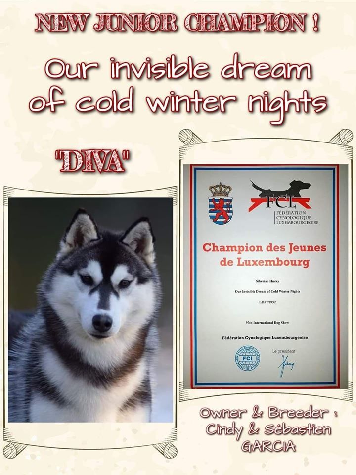 Of cold winter nights - Jeune championne du Luxembourg