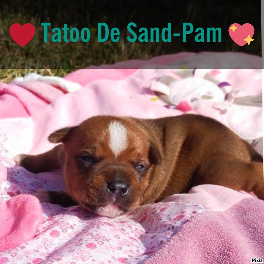 De sand-pam - Photos des bébés à 15 jours