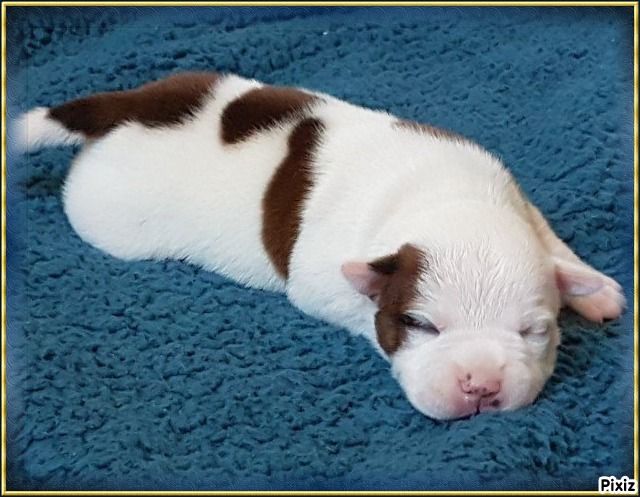 De sand-pam - Photos des bébés à 9 jours