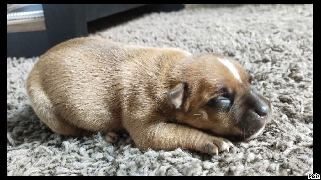 De sand-pam - Photos des bébés à 1 semaine