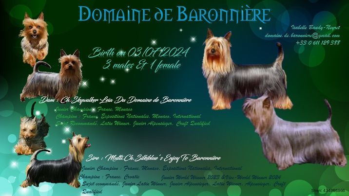 du domaine de Baronniere - Naissance à l'élevage