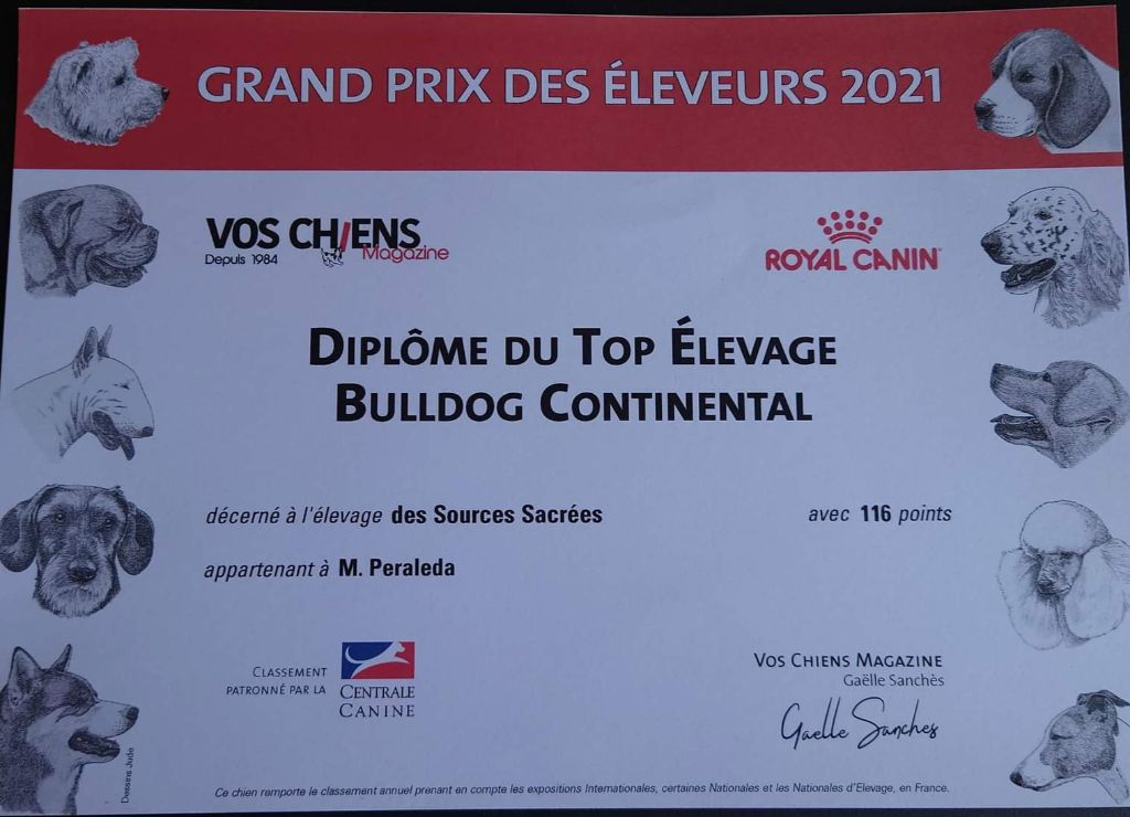 Des sources sacrees - Top élevage grand prix des éleveurs 2021