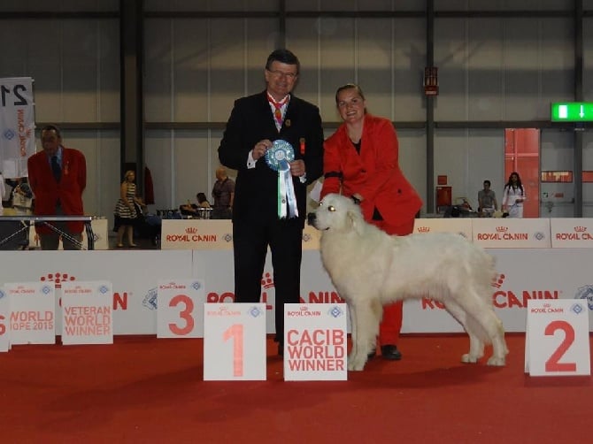 des Arcanes D'Hermes - Championnat du Monde 2015 à Milan (Italie)