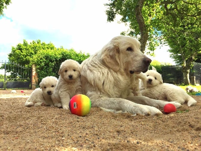 des Arcanes D'Hermes - les bébés et leur cadre de vie...