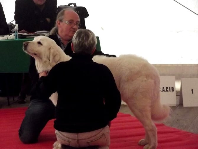 des Arcanes D'Hermes - Exposition de Bourges 2015 pour Hakuna