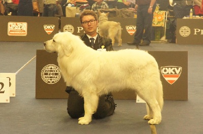 des Arcanes D'Hermes - Championnat du Monde 2012