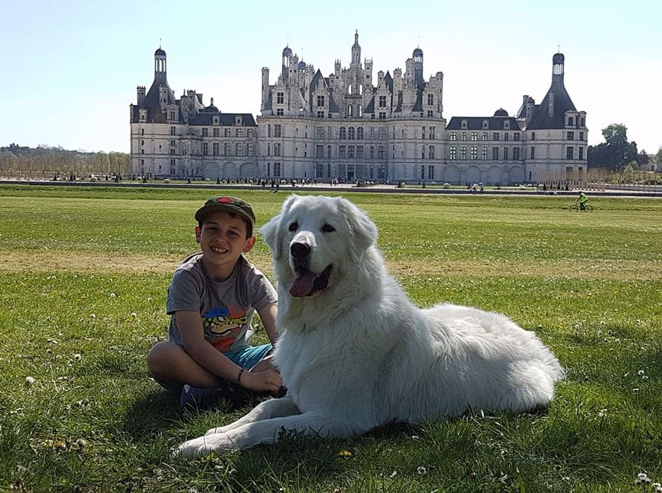 des Arcanes D'Hermes - Link en Ballade à Chambord....