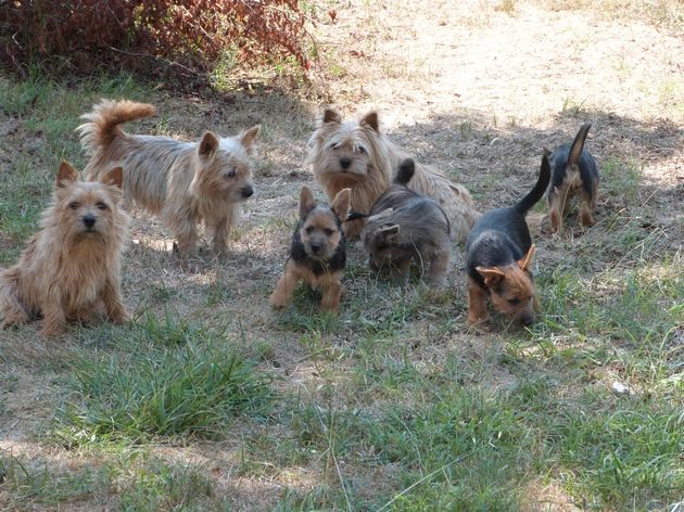 PHOTO DE FAMILLE