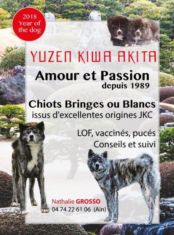 Yuzen kiwa - 2018 l' Année du CHIEN de Bois