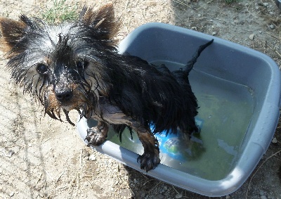 Du puits des sortileges - Un p'tit bain !!