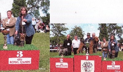 Du puits des sortileges - photo du podium de Dinozzo à l'expo de libourne !!