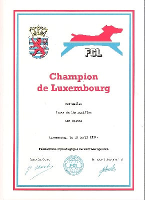 De chatoisillon - Cross Championne du Luxembourg...