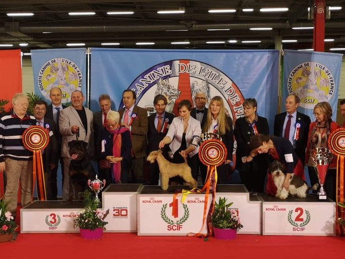 De chatoisillon - PARIS DOG SHOW 2019