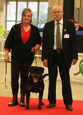 De chatoisillon - Cross Meilleur de Race à 17 mois au Paris dog Show