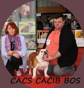 CACIB d'AMIENS