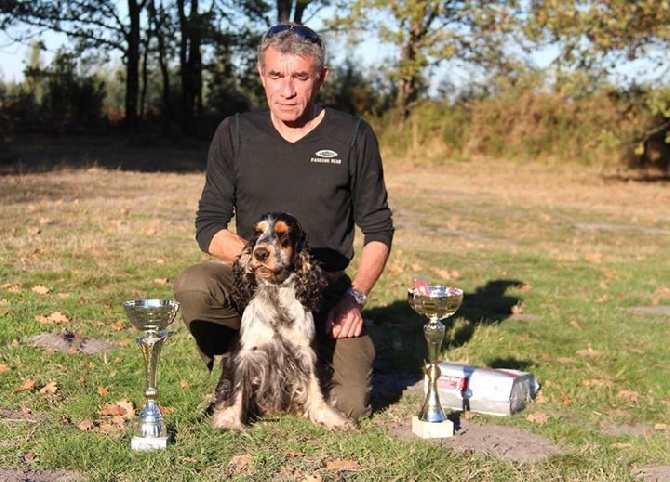 Des terres froides - HAYATO meilleur cocker au field de Gironde