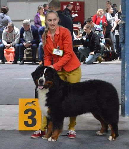 de La Balade du Briantais - Dogshow Luxembourg 28 Mars 2015