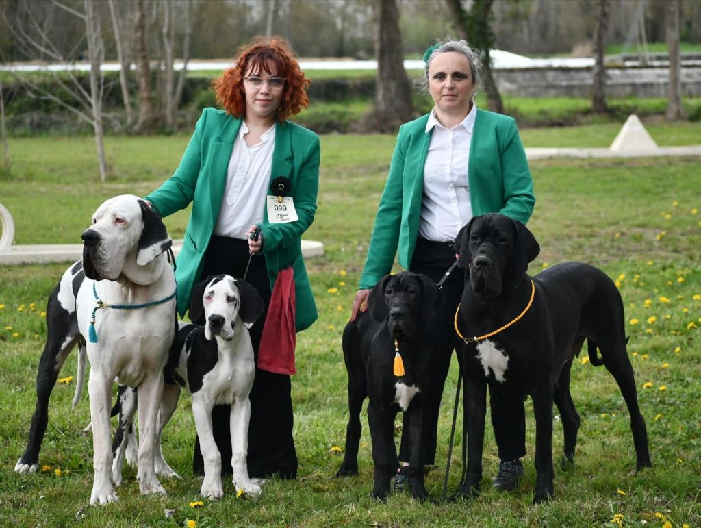 de L'Ether de Pandora - Les chiots de l'Ether de Pandore en expo