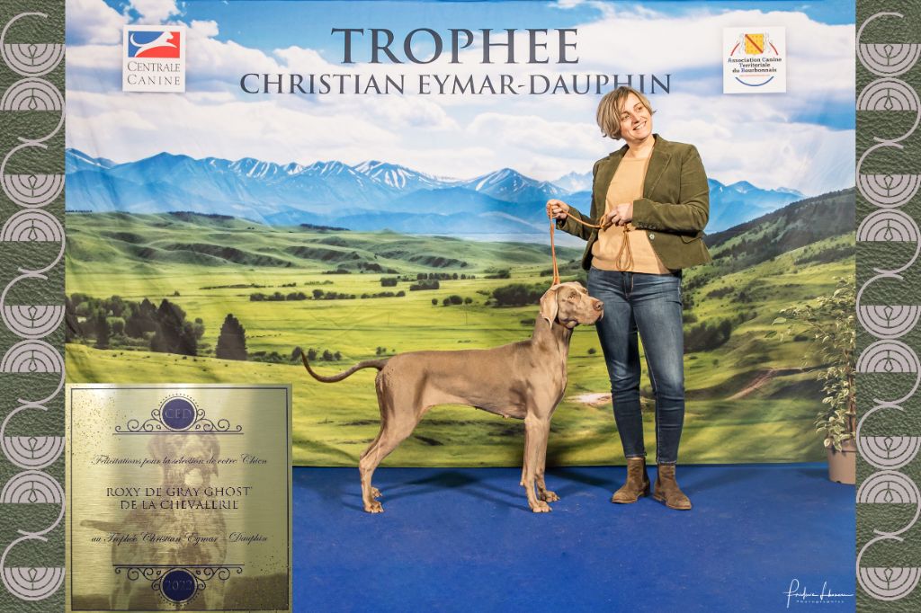 des Gris de la Bellesebonne - ROXY  au trophée CED 2024