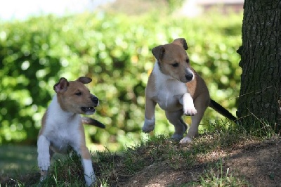 Twinway - Nouvelles photos des bébés smooths !