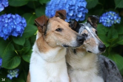 Les futurs parents prennent la pose