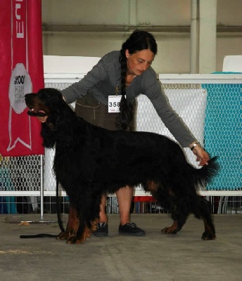 de Korrigan Forest - Dourek Champion à Marseille !!!