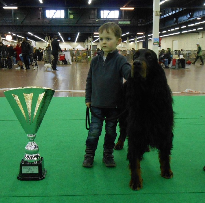 de Korrigan Forest - Dourek gagnant du trophée des Pays de Loire en 2014 !