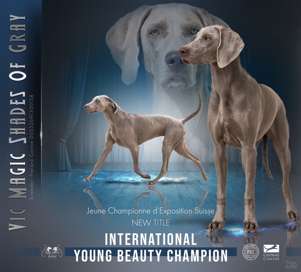 Magic Shades Of Gray - Vic Championne Internationale de Beauté Jeune