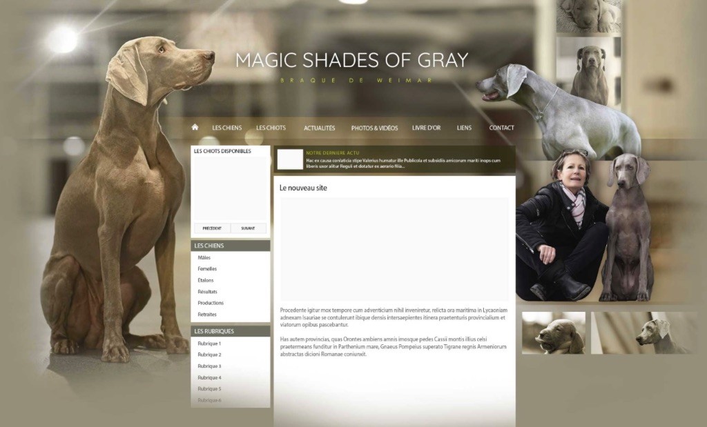 Magic Shades Of Gray - Activation de notre thème personnalisé