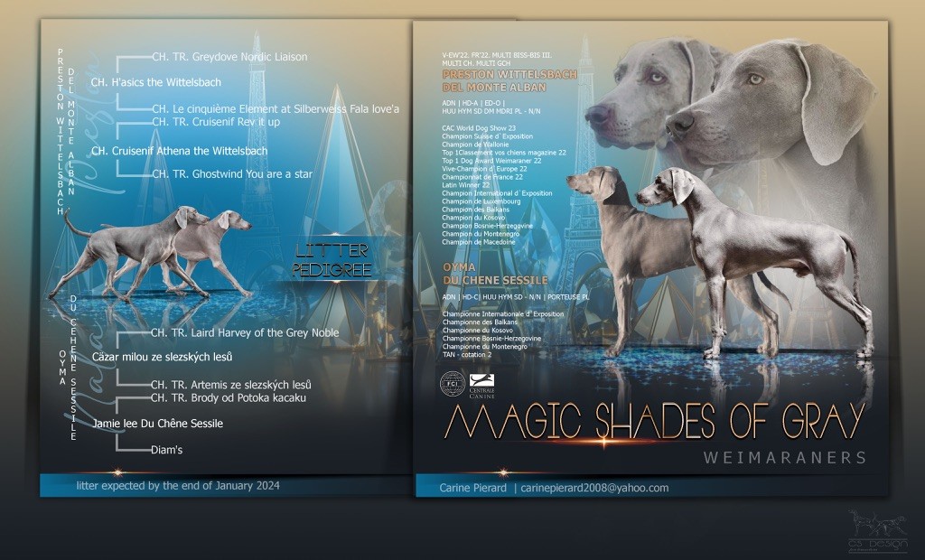 Magic Shades Of Gray - Gestation confirmée