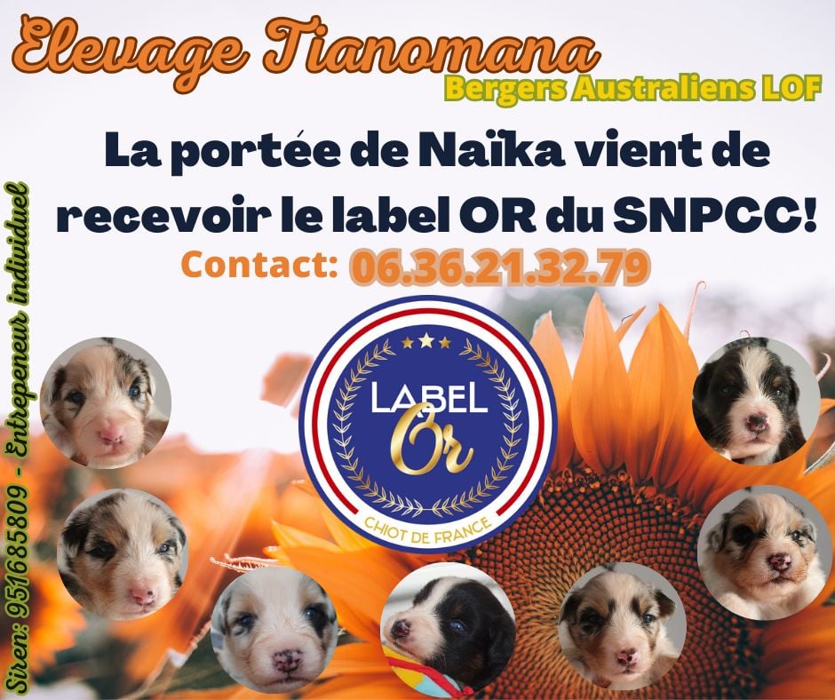 LABEL OR POUR LA PORTEE DE NAIKA!