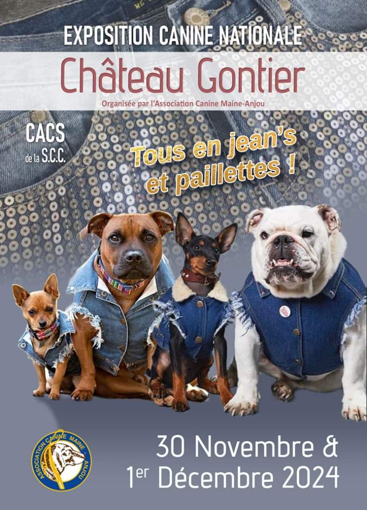 Sweet Little Roses - Exposition canine CACS Château-Gontier 30/11/2024