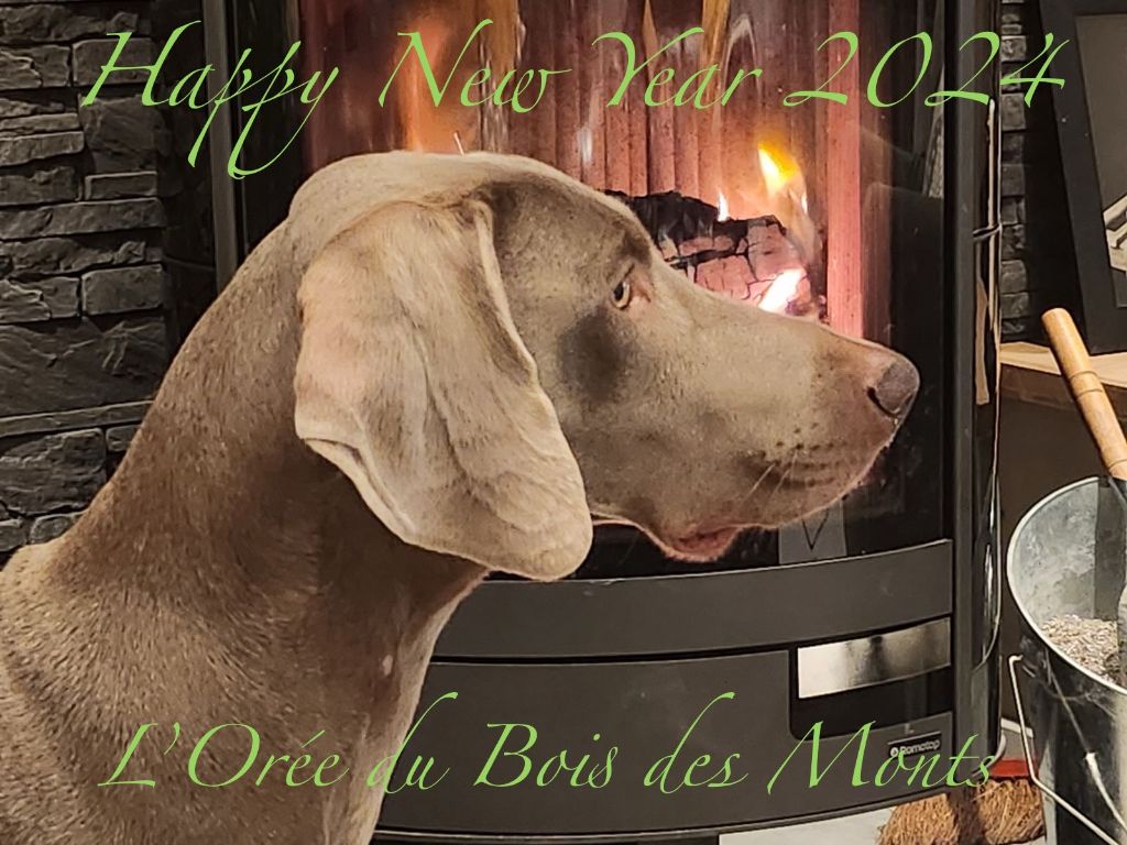 De l'Orée Du Bois Des Monts - HAPPY NEW YEAR 2024