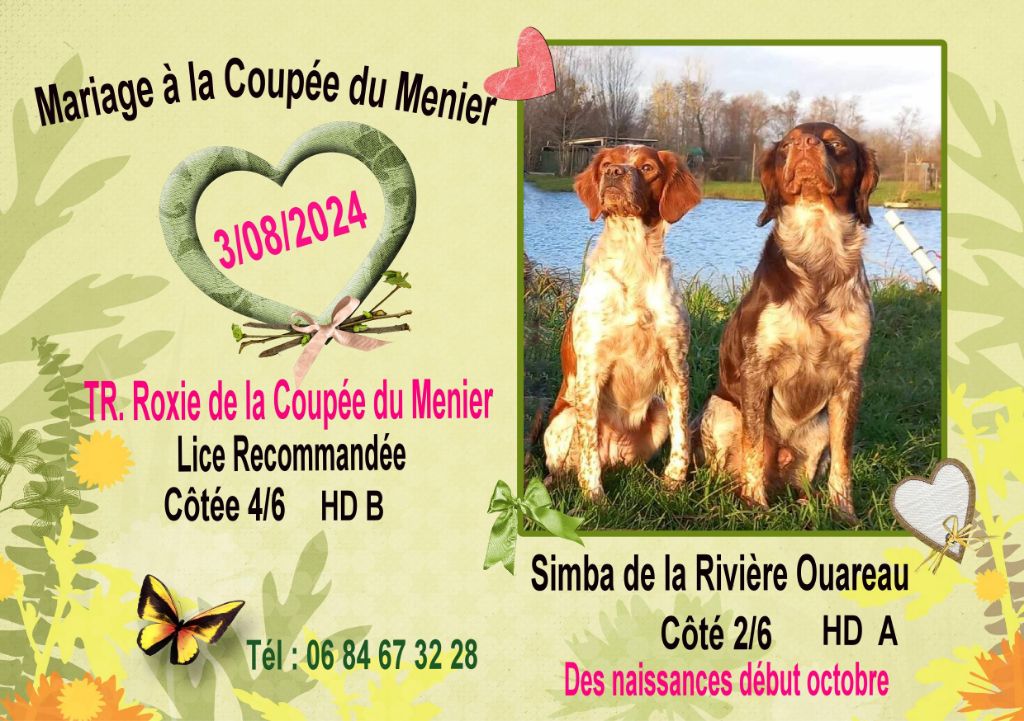 De La Coupée Du Menier - Mariage ROXIE de la Coupée du Menier et SIMBA de la Rivière Ouareau