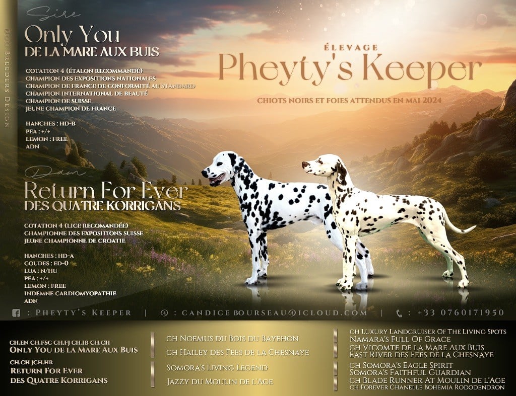 The Pheyty's Keeper - Annonce du papa des chiots !  