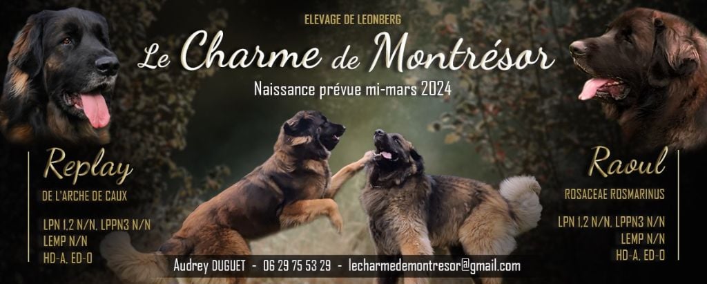 Du Charme De Montrésor - Les bébés sont nés !